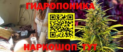 PSILOCYBIN Гусев